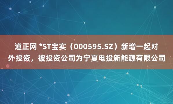 道正网 *ST宝实（000595.SZ）新增一起对外投资，被投资公司为宁夏电投新能源有限公司