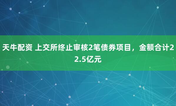 天牛配资 上交所终止审核2笔债券项目,金额合计22.5亿元