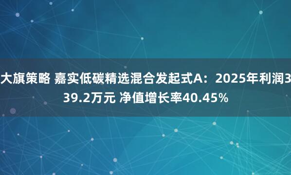 大旗策略 嘉实低碳精选混合发起式A：2025年利润339.2万元 净值增长率40.45%